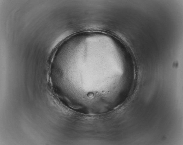 X0000111191219200907151341