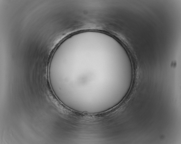 X0000111191220200907151341