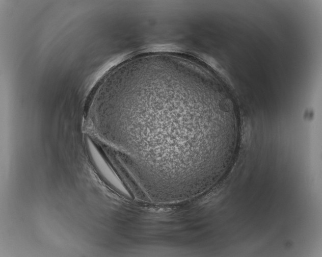 X0000111191221200907151341