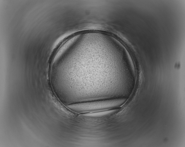 X0000111191222200907151341