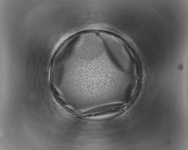 X0000111191224200907151341