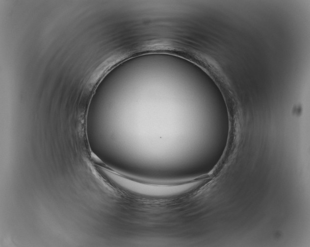 X0000111191225200907151341