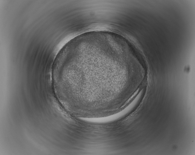 X0000111191226200907151341