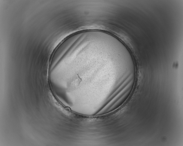 X0000111191228200907151341