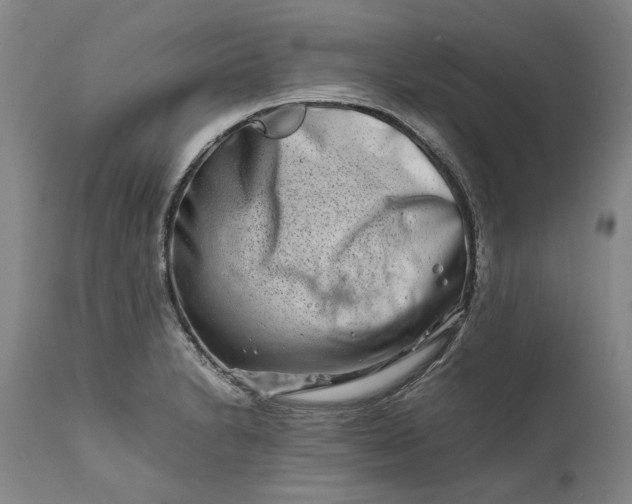 X0000111191230200907151341