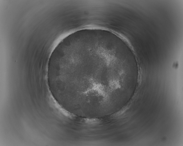 X0000111191231200907151341