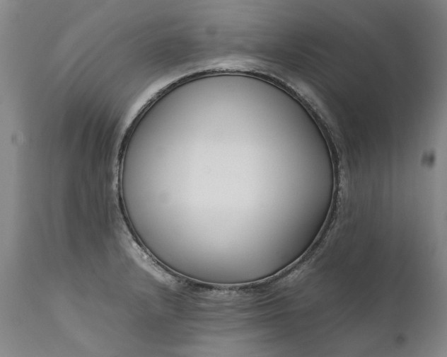 X0000111191232200907151341