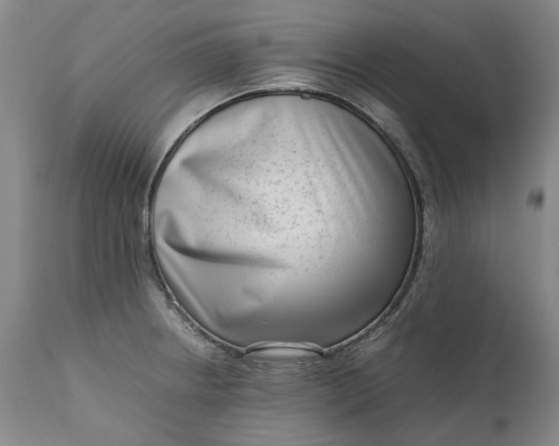 X0000111191234200907151341