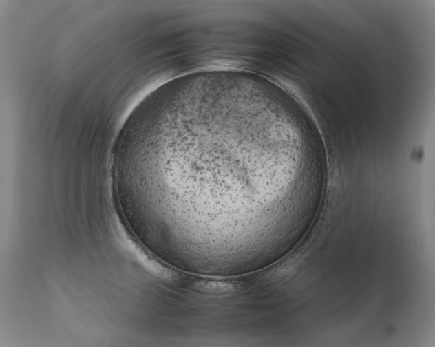 X0000111191235200907151341