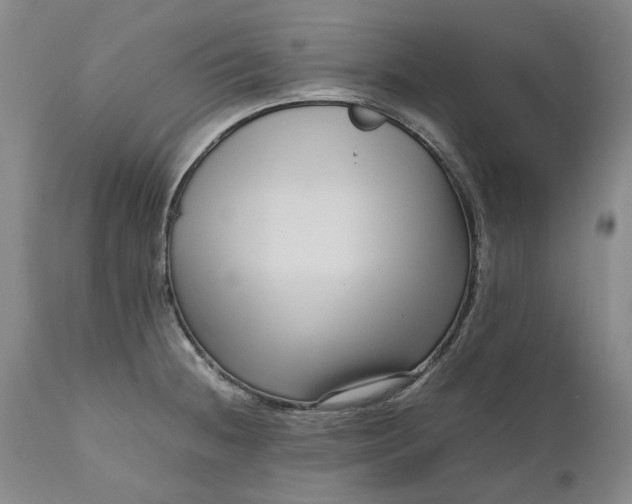 X0000111191236200907151341