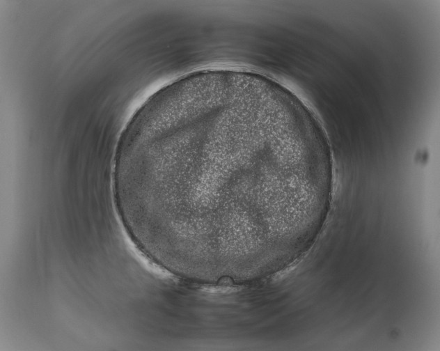 X0000111191237200907151341