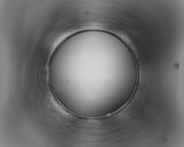 X0000111191238200907151341