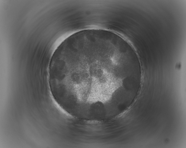 X0000111191239200907151341