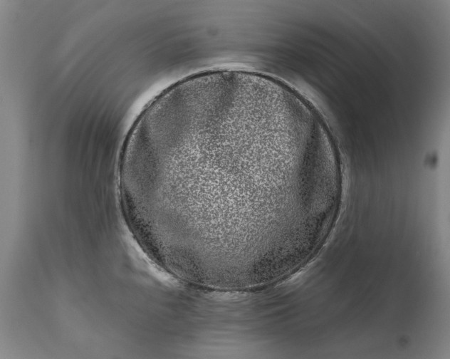 X0000111191240200907151341