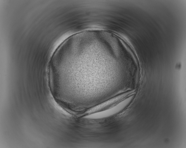 X0000111191243200907151341