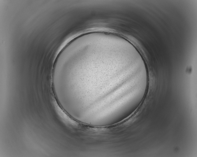 X0000111191244200907151341