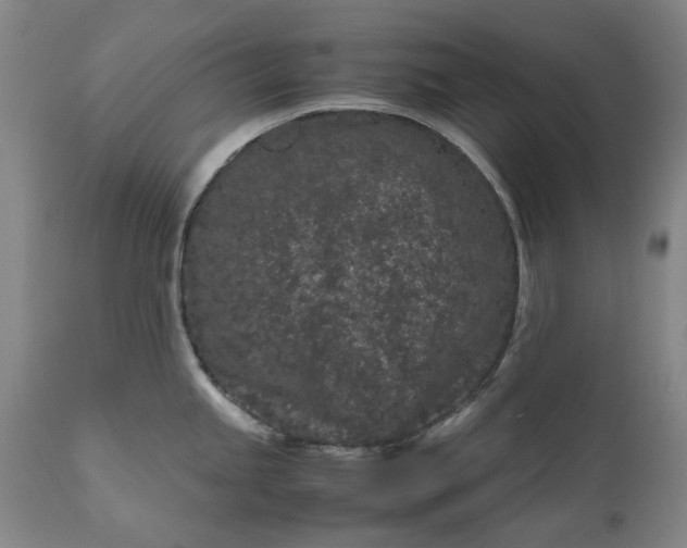 X0000111191245200907151341