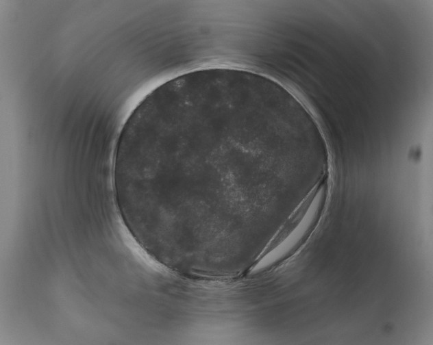 X0000111191246200907151341