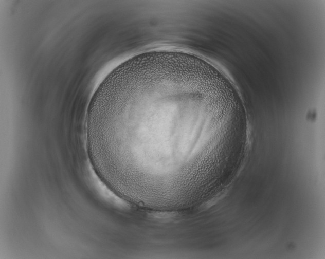 X0000111191247200907151341