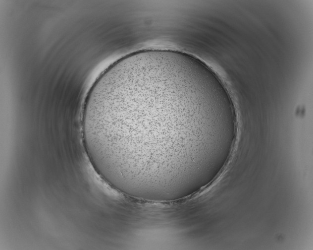 X0000111191248200907151341