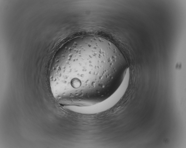 X0000111191249200907151341