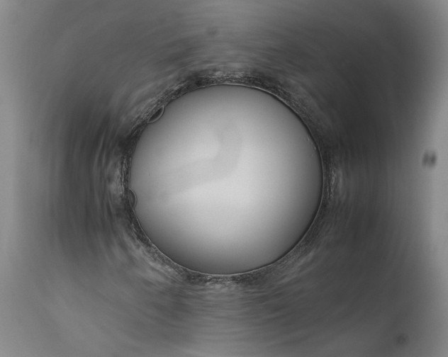 X0000111191250200907151341