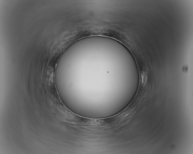 X0000111191251200907151341