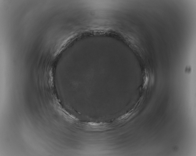 X0000111191252200907151341