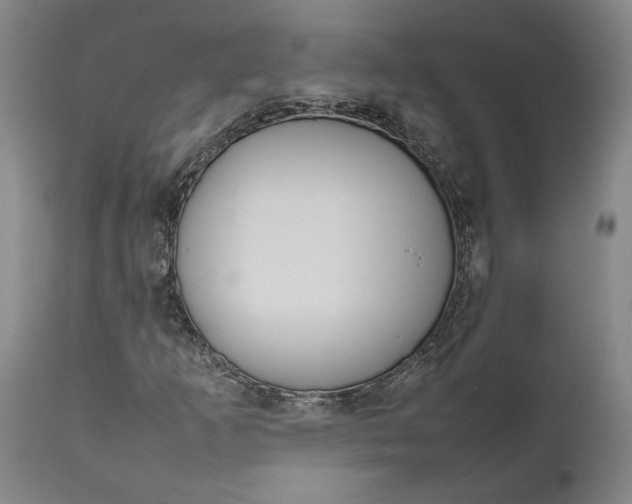 X0000111191253200907151341