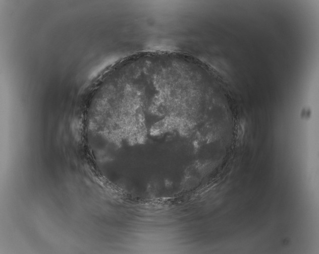 X0000111191254200907151341