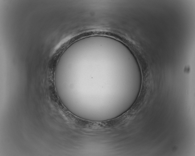 X0000111191255200907151341