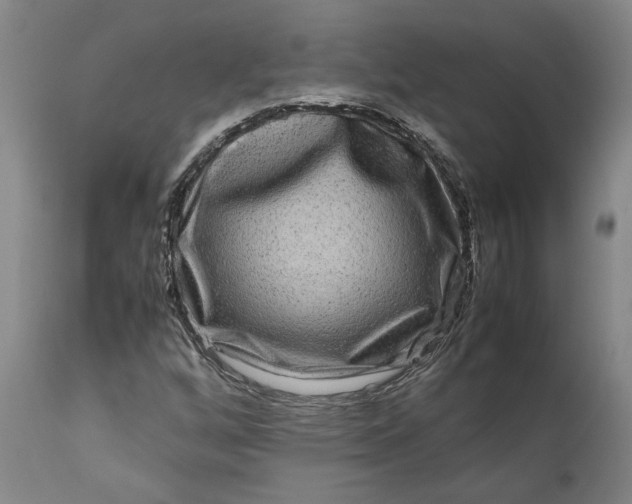 X0000111191256200907151341