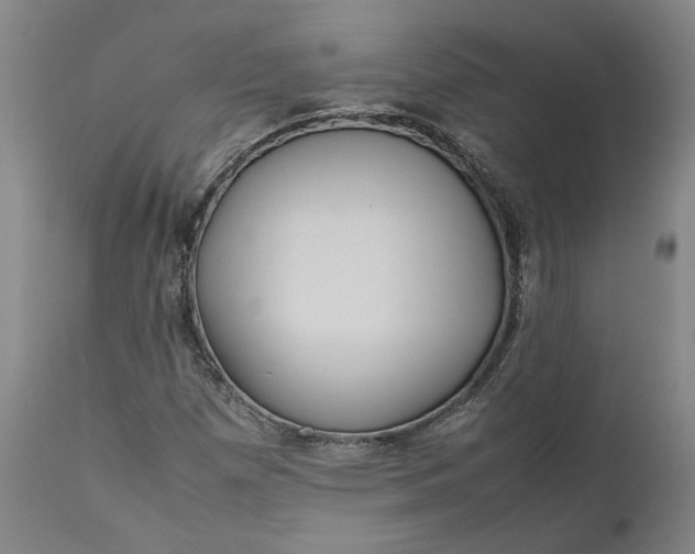 X0000111191257200907151341