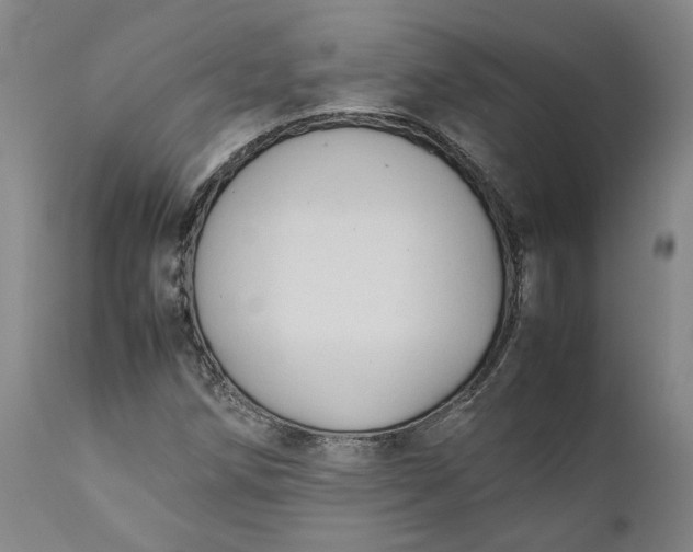 X0000111191258200907151341