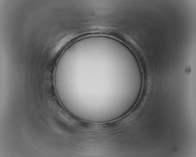 X0000111191259200907151341