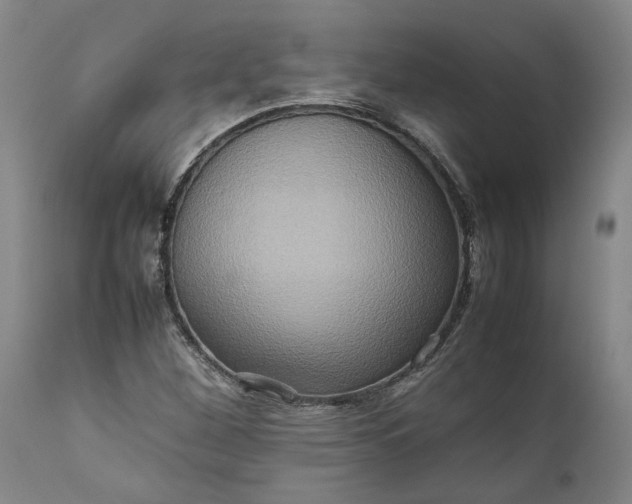 X0000111191260200907151341