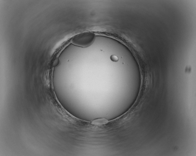 X0000111191262200907151341