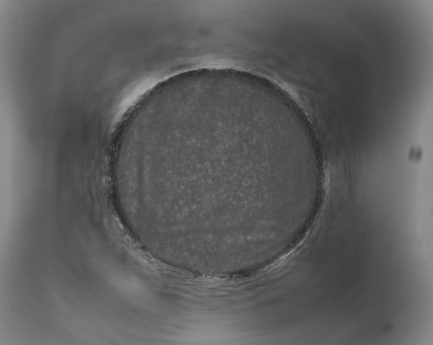 X0000111191263200907151340