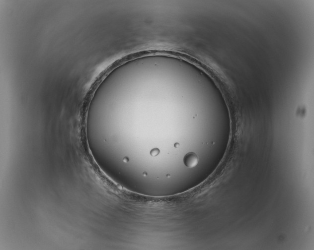 X0000111191264200907151340