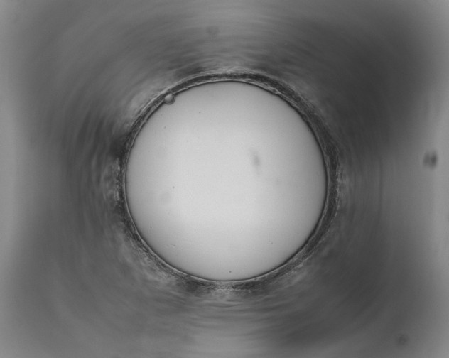 X0000111191265200907151340