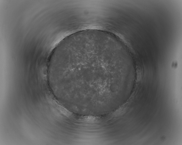 X0000111191266200907151340