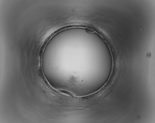 X0000111191267200907151340