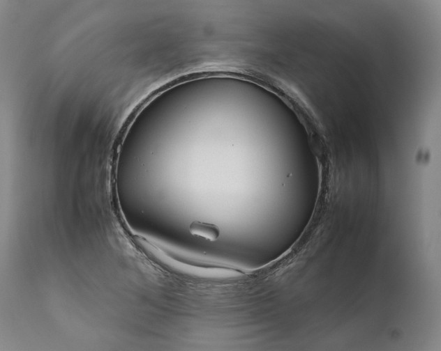 X0000111191268200907151340