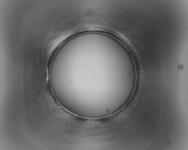 X0000111191269200907151340