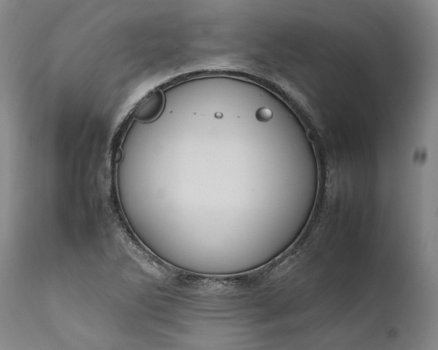 X0000111191270200907151340