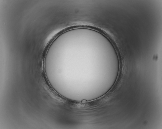 X0000111191271200907151340