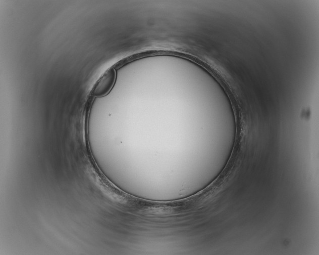 X0000111191272200907151340