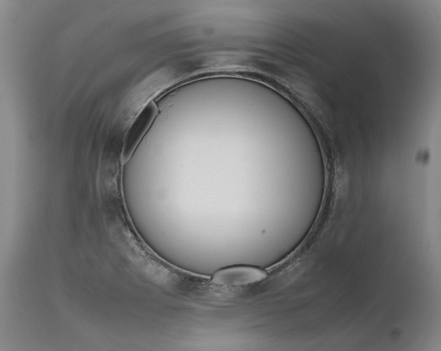 X0000111191273200907151340