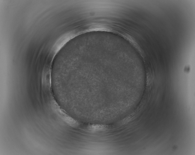 X0000111191274200907151340