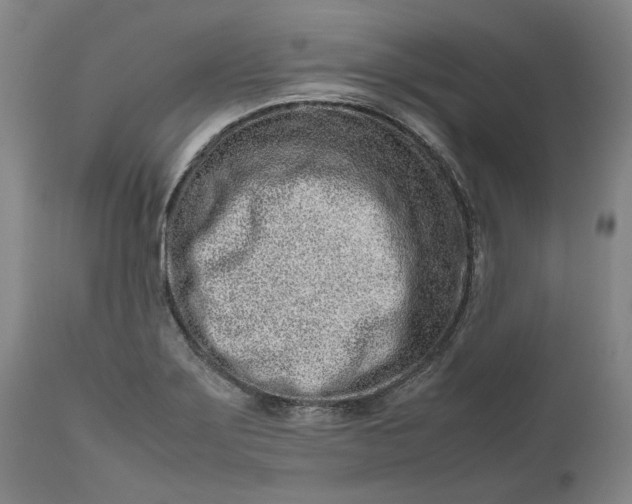 X0000111191275200907151340